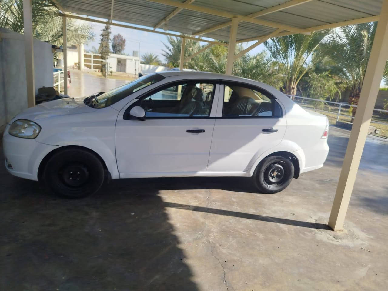 افيو 2011بغداد شركة عامه محرك ١٦٠٠هزه وارقام جديده باسمي بيهه صبغ خشم الجاملغ و٤اصابع من البنيد فقط بيهه رصعه باب السايق سياره جديده حيل داخل لونين نظيف حيل السعر ٧٢ مجال بسيط العنوان الفلوجه..     ***********
