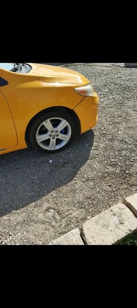 17 للبيع مراوس ويل عادي اريد فرق الشراي يخابرني 07832818603