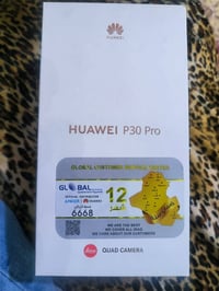 هواوي بي 30 برو • ٢٥٦ • شاحن اصلي