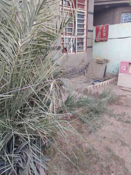 دار للايجار المساحة ٢٤٠م طابق واحد غرفتين صالة استقبال مطبخ صحيات داخلية وخارجية بدل الايجار ٥٠٠ الف الفرات بداية شارع المستوصف من جهة شارع الصب البيت حديث  للأستفسار الأتصال على الرقم
        ***********
       ***********
مكتب صدى الخليج للعقار
    أبو رواء الخليفاوي
