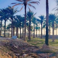 ٥ دونم • بيت ٤٠٠م • طريق خان