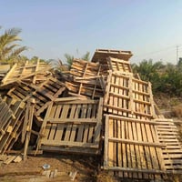 نظيف • مكسر • ٣٠٠ سكيبه