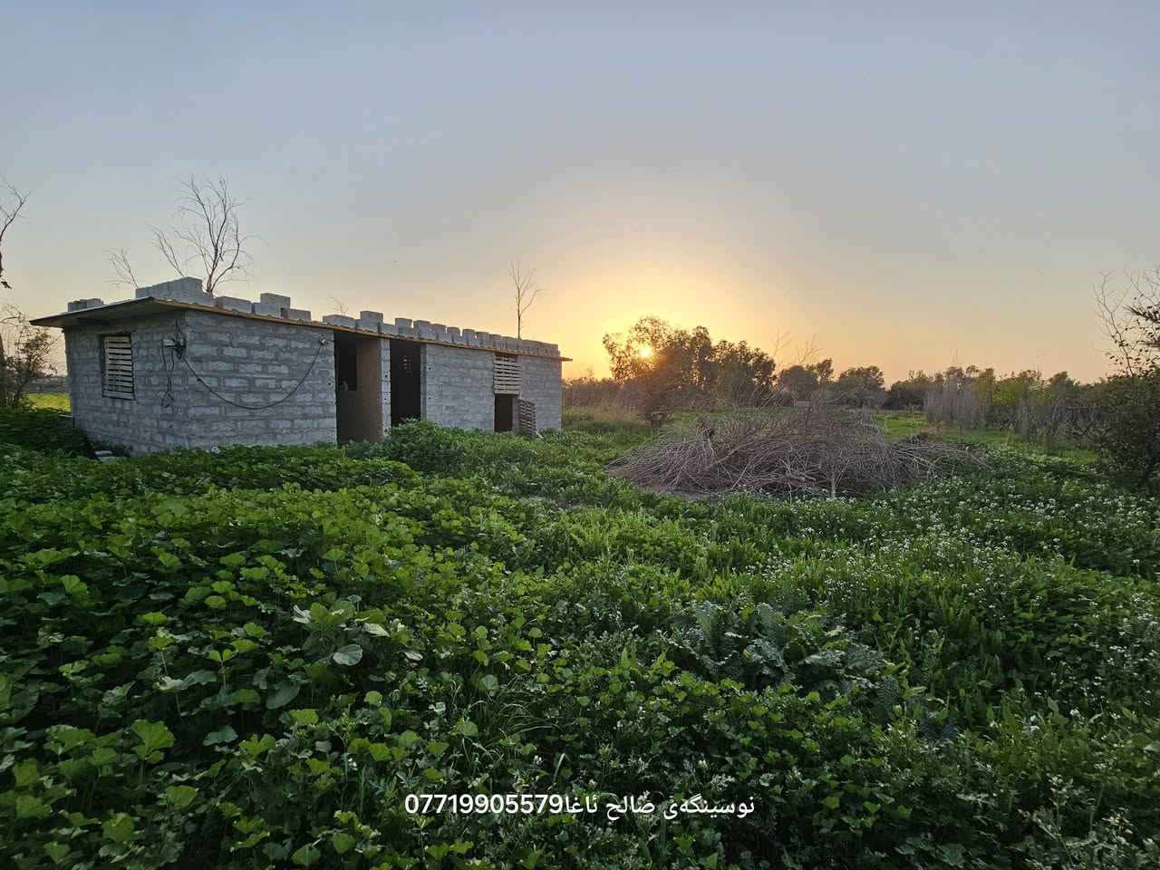 ...﷽ ...
  بسم لله الرحمن الرحیم 
ئەم جارە خانو باخیکی🏝🏡🏠 شازمان بوتان هێناوە مالی دوستە
خانوی سەب کونکریت
گەلەخانی لیە بو ئاژەڵ🐏🐑🐂🐓🪿
مەسبەح گەورە فول کاشیی

داری بەردار تەمەنی سەرەوەی ١٢ سال
لیمو سندی پرتقال هەنجیر  زەردەلو🍊🍇🍎همو میویکی لیە
بیری ارتوازی کاربا سەربەخو 

ناونیشان بەینی باریکە  ساح ئاغا 
زوریش هەرزانە 
مساحة 3  دونم 

بو زانینی نەرخ 💵 خالیک دانی
بو کرینو فروشتنی خانو  باخ زوی 
پیوندی بەم ژمارەوە  بەکەن📢📢
***********  یوسف  ☎️☎️

https://www.facebook.com/profile.php?id=100083460334231&mibextid=ZbWKwL
