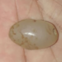 حجر • قديم