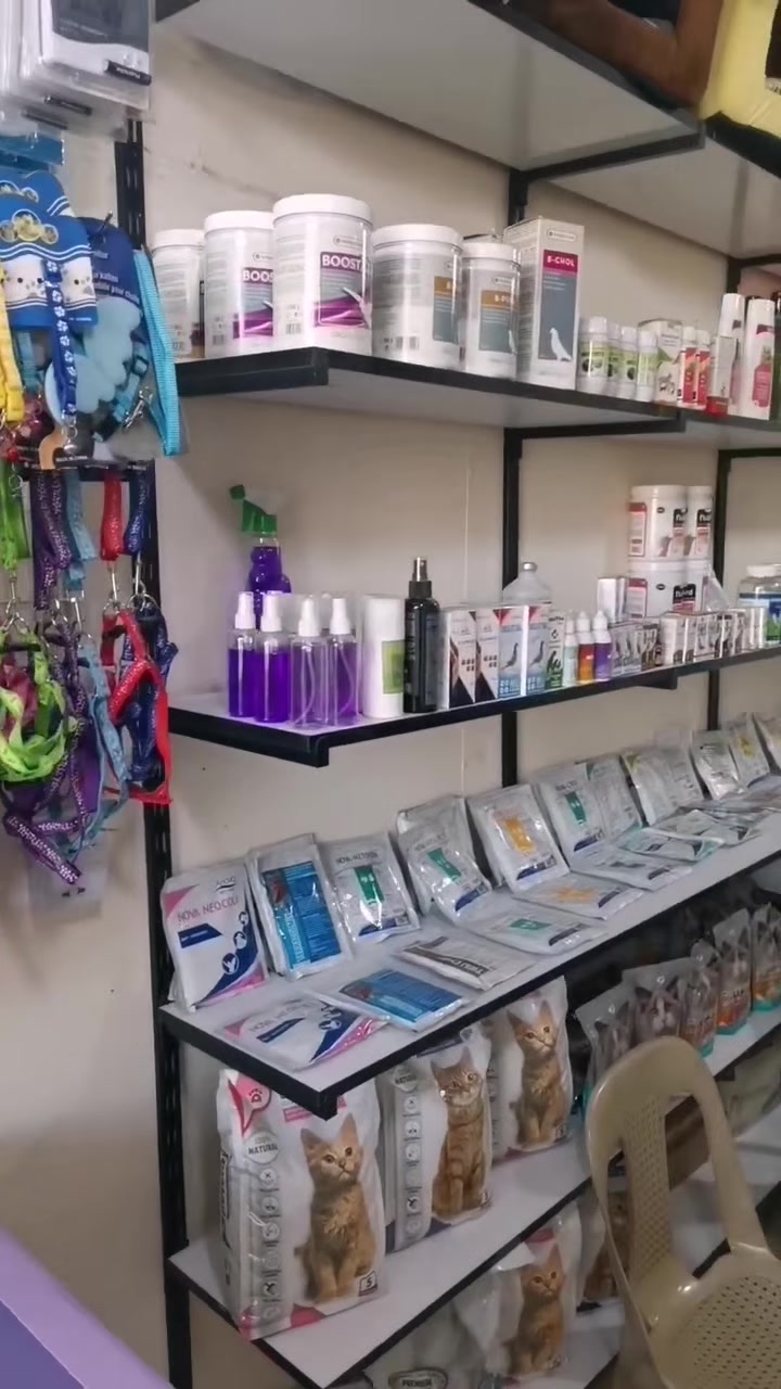 عيادة تودي البيطرية Today vet clinic  توفر كافة مستلزمات القطط والكلاب والدواجن
و البلابل اعلاف ولقاحات وعلاجات وكل مايحتاجه الحيوان الاليف

عنوان العيادة موصل مفرق حي التعليم  مقابل بانزخانة عطاء البركة
للاستفسار
***********
***********
الفرع الثاني حي الحدباء سايدين المضخة  بالقرب من
مطعم مستر جكن
#يتوفر_توصيل_الئ_جميع_محافظات_العراق 🚕🚖
عيادة تودي البيطرية Today vet clinic
