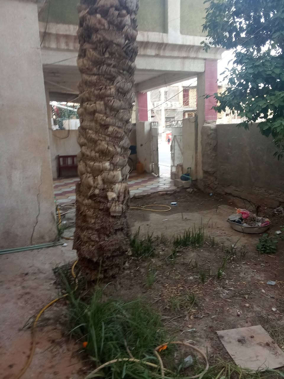 السلام عليكم بيت للبيع مساحه 250متر شارع الباشه اول فرع عل ايدك اليسره مجاور ابودعاء المضمد السعر 115مليون بيه مجال ***********
