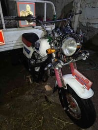 ستوته موديل 13 • اوراق كامله • الغراف