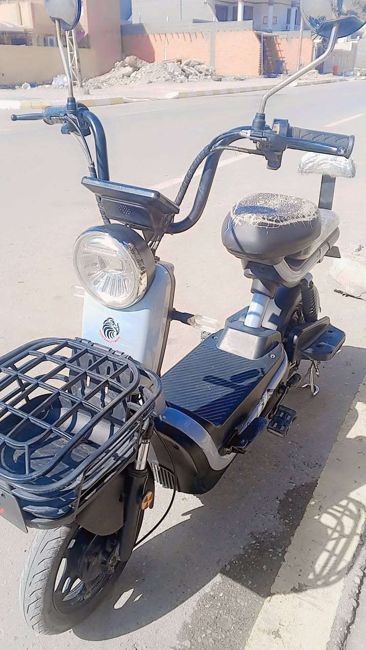 السلام عليكم ورحمة الله وبركاته متاح دراجه شحن كامله السعر خاص


**إذا كنت صاحب هذا الإعلان وتريد حذفه لأي سبب، رجاءا أرسل رسالة إلى الدعم الفني**