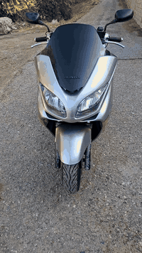 فورزه • صفر • اوراق معرض