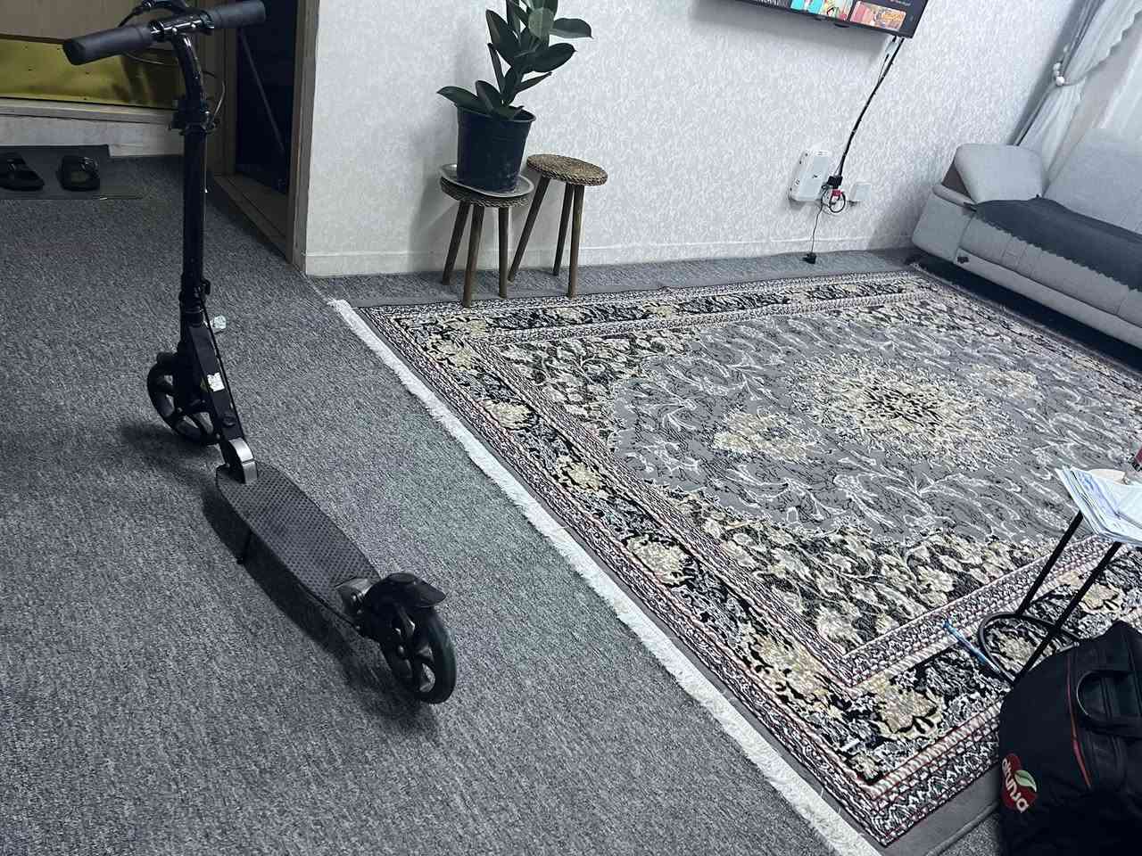 سكوترات للبيع مستعجله ع البيع اثنين حجمهم كبير يحتاجلهم بطاريه اثنينهم ٢٥٠والثالث عادي باله سعره ٤٠


**إذا كنت صاحب هذا الإعلان وتريد حذفه لأي سبب، رجاءا أرسل رسالة إلى الدعم الفني**