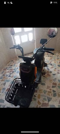 دراجة شحن • موديل ٢٠٢٥ • كوت انوار الصدر