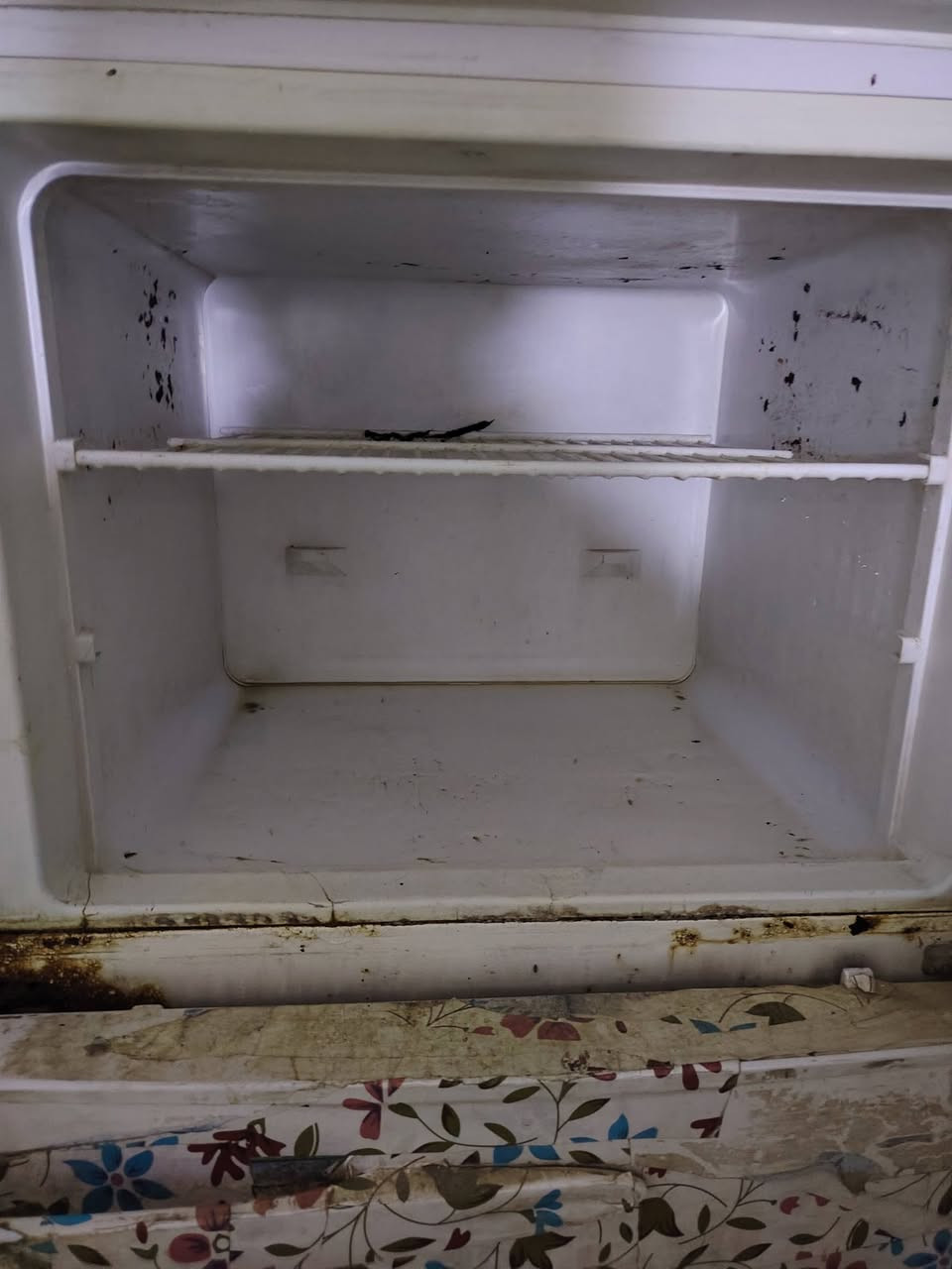 ثلاجه مستعمله للبيع السعر 200 وبيها مجال
تجميد شرط
16 قدم
الشراي يتصل ***********
