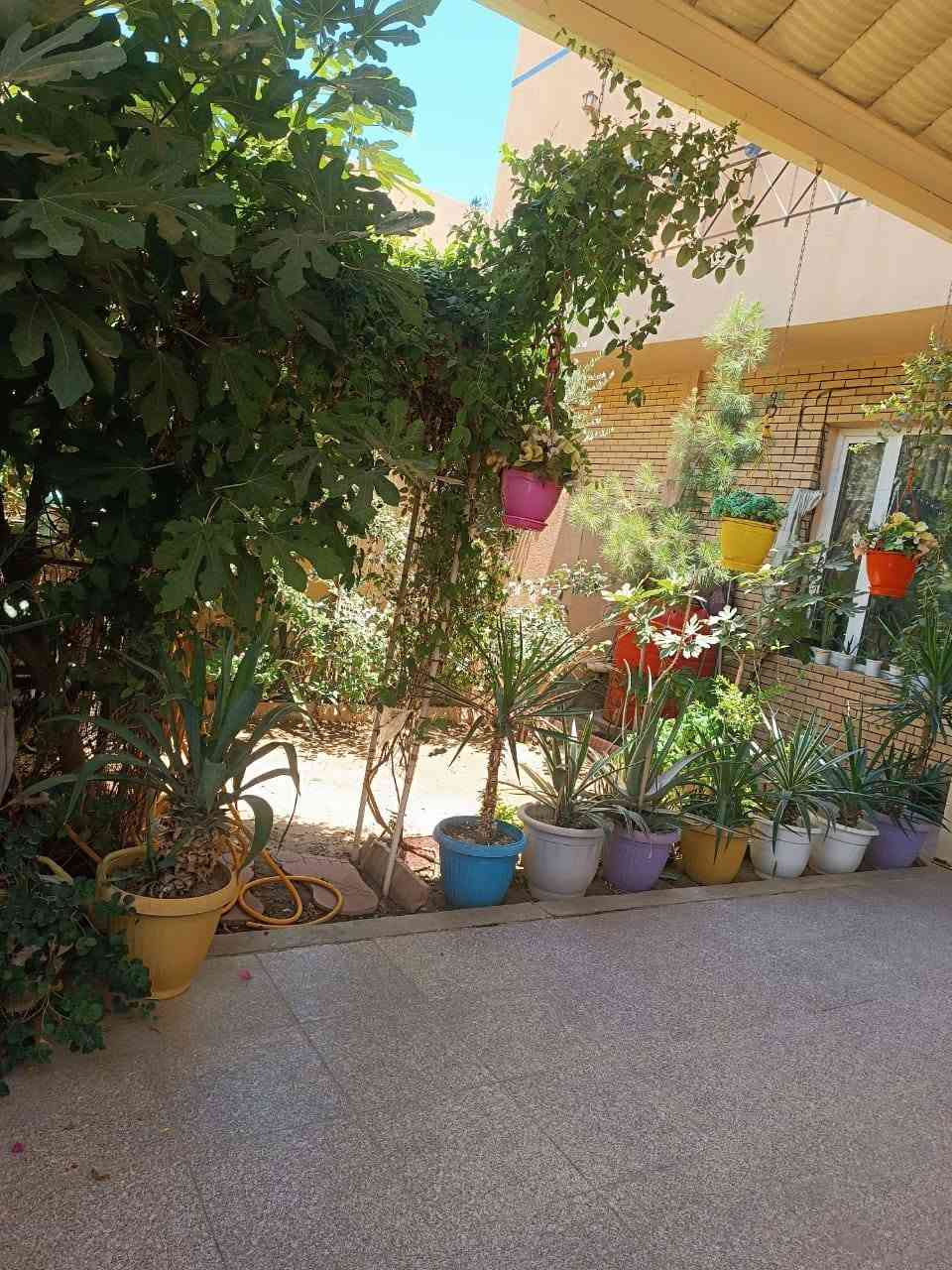 #للبيع_دار بيع مسسستعجل 
بيت بمساحة 150م ملك صرف 
طابقين يحتوي 3غرف نوم 
ـــــــــــــــــــــــــــــــــ
🔸️ الموقــع حله ابي غرق 
 🤩مجمع الكوثـــــر السكنـــي 🤩
ـــــــــــــــــــــــــــــــــ 
سعره مناااسب ب #160مليون 
مع العلم سعر البيت في المجمع ب200 مليون وأكثر 
ـــــــــــــــــــــــــــــــــ 
للاستفسار يرجى الاتصال/*********** زيد الدليمي
                                     ***********
                                    *********** محمد الطائي 

🔸️نستقبل جميع العروض.
مكتب ديرتنا للتسويق العقاري
