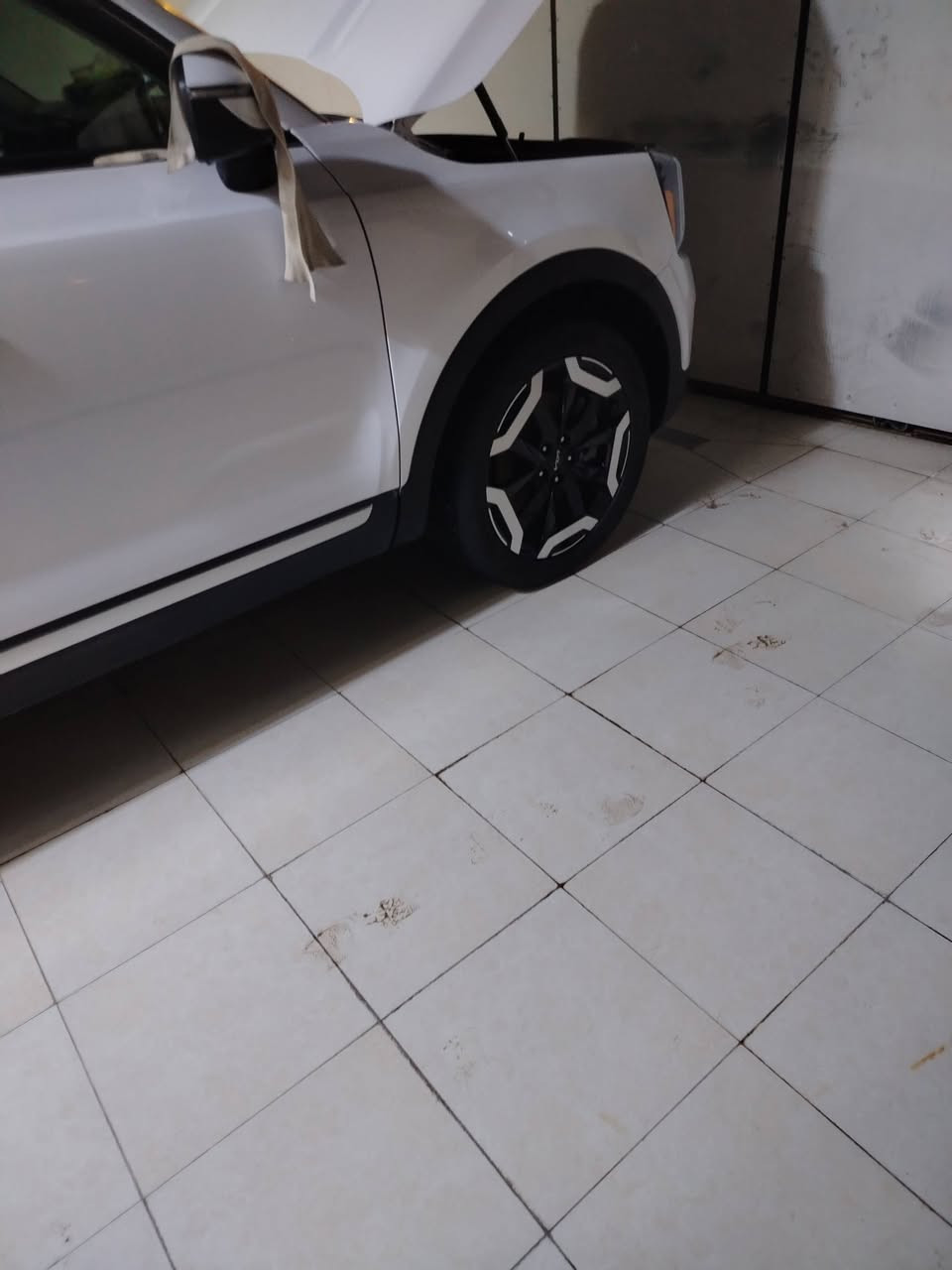 السلام عليكم
كيا تيلورايد 2024. S للبيع
مواصفات معروفه
شاشة
كامره
ويلكب اسود
تدفئه كشنات امامي
سبعه راكب
كشن منفصل سياحي
لايتات لد ابيض
بصمه تشغيل
بصمه أبواب
تشغيل عن بعد
تحديد مسار
تثبيت سرعه
رادارات امامي خلفي جوانب
حساسات خلفي
بدون ايرباك
ماشيه 14000 ميل
جلد اسود
كشن كهرباء
سياره مرقم بابل دولي
حادث سياره سرقه(جاملغات وبنيد)
صور الحادث بالمنشور
مكاني بابل
سعر 310$ وبيها مجال
غير متواجد على فيس
رقم/*********** واتساب
