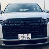 بالسايد • ٢٠٢٤ • حادث حرق