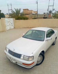 ابيض لؤلؤي • مكفوله • النجف