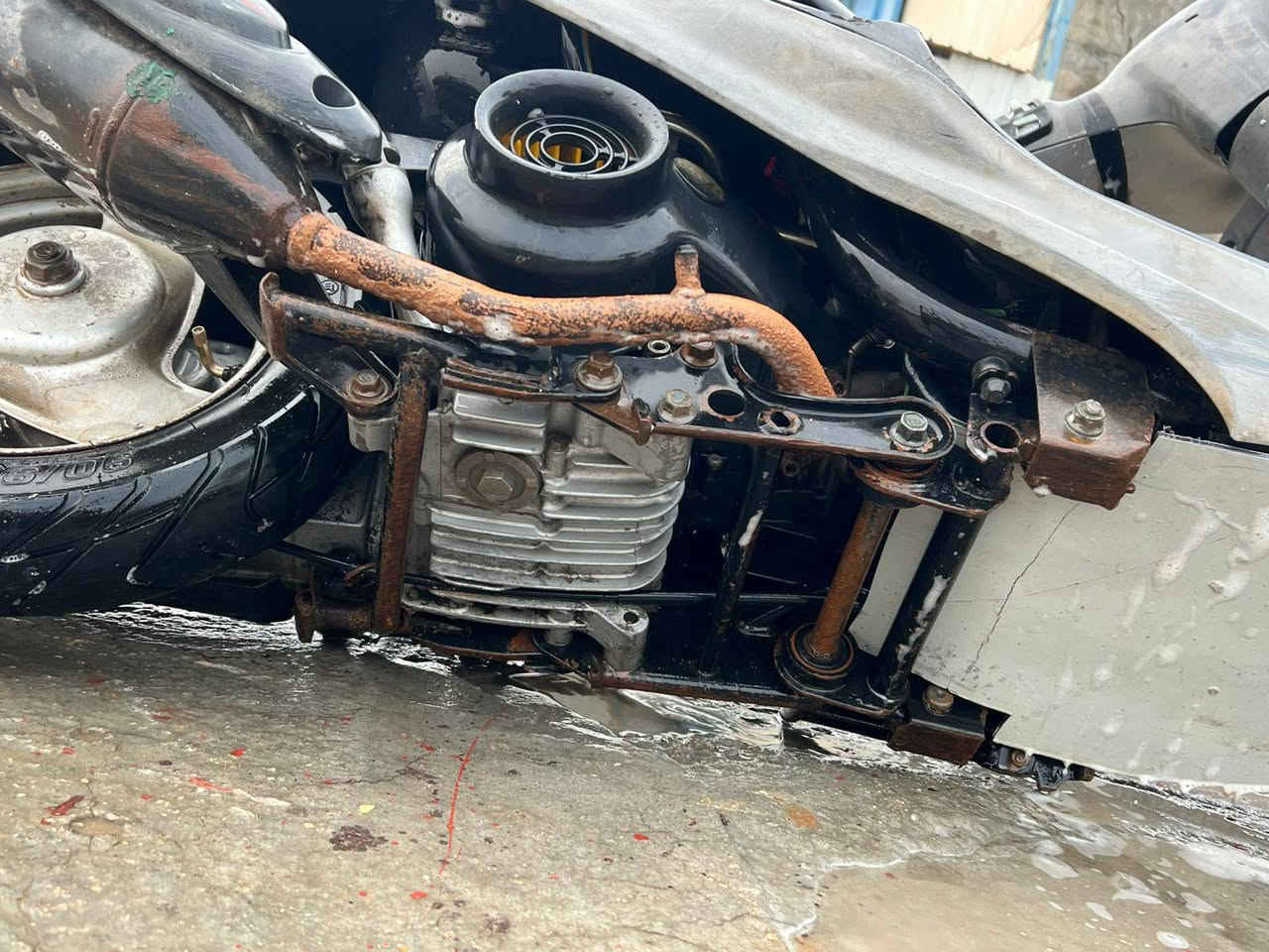 دراجه ماكس منغوله للبيع او مراوس بعدله 
 شغاله هندر وسلف بكل وقت الدراده كفاله هام م̷ـــِْن مكينه وكهربائيات الدراجه ابد مالملعوب بيها كلشي بلاد ونزلته قبل خمس  تشهر م̷ـــِْن الرمبه 
باقي للتفاصيل خاص السعر 550 وبيها مجال للشراي
عنواني بابل حي الامام شارع 60 
واتساب ***********
