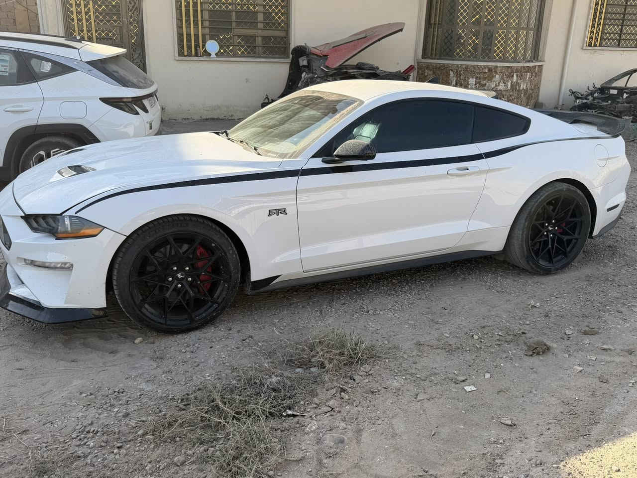 موستنك جيتي ٢٠٢٢اصل عليهه كت ارتي ار كير مكينه مكفوله ماشيه ٣٤ مكان بغداد بدون دواخل بدون شواصي  بيهه ٣قطع باب وجاملغ جهه السكن تبديل بلادي جاملغ الخلفي بيه صبغ شبرين فقط صدر تبريد كله جديد صوره الحادث خاص المكان بغداد  السعر ١٨٠ بسعر ٢٠١٧
***********
