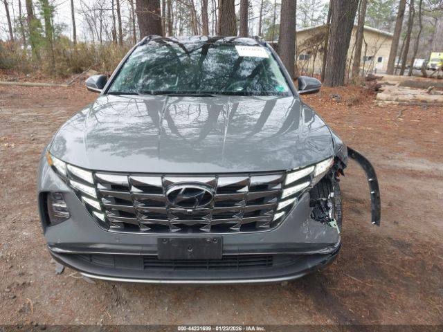 ...............هونداي توكسان موديل2024
Limeted..فوووول مواصفات 
لون أسمنتي المرغوب داخل جلدلون أسودملكي 
بدون أيرباك ماشية ٢٣حقيقي 
باقي شهر على موعدوصولهاللعقبةإن شاءالله 
سعرها واصلة للعقبة ب146ورقة
سعرها 167ورقةلمن لديه كتاب شهداء واصلة لبغداد باليوسفية 
....للأستفسار 
السيارة معروضة في مكتب شركة الجود للمزادات الامريكية لأستيراد ألسيارات وقطع ألغيار العنوان بغداد حي القاهرة شارع الضباط مقابل حسينية آل الرسول
 تلفون ***********
