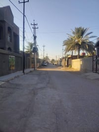 شارع 60 • ٢٦٥م • طابو زراعي
