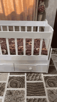 جديد 07709977211