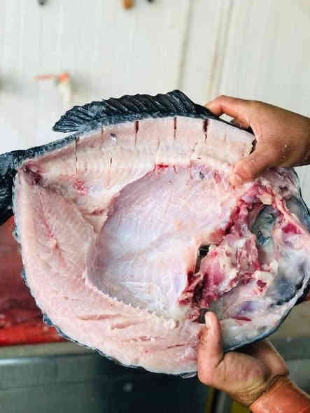 مشويات الاسدين
متوفر سمك مسگوف ع الحطب
كيلو وربع ب12 
كيلو ونص ب14 
كيلو و700 ب16 

واتساب  *********** توصيل داخل الشطره.
