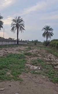 دونم زراعي • مشروع الماء الصغير • ماء كهرباء تبليط