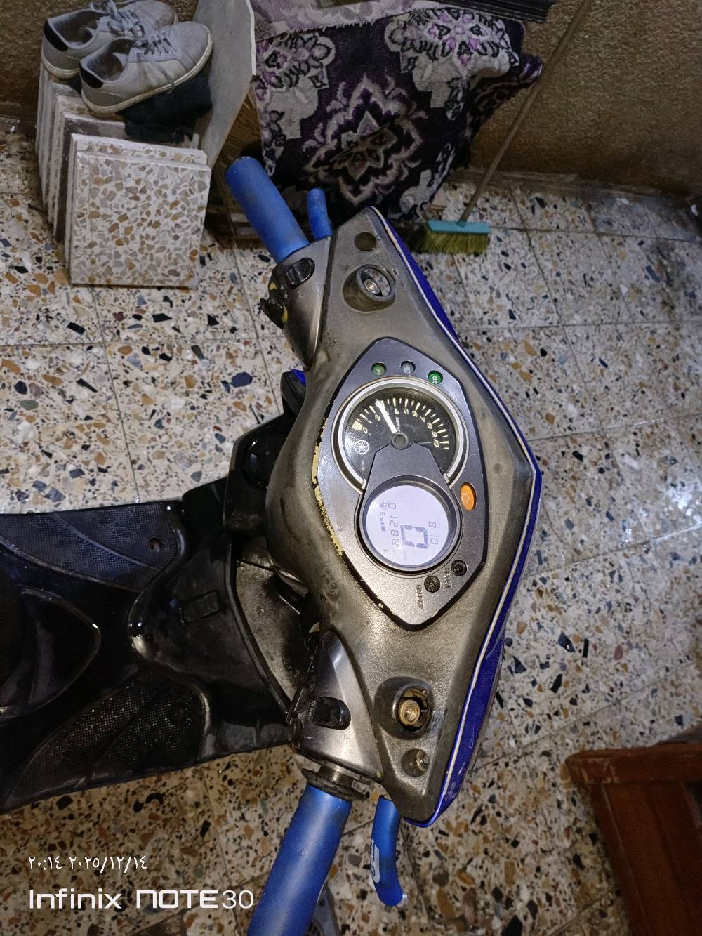 سكنس فحل نوزل خطين (لون مميز) دراجة جاهزة  كلهة شغالة (السعر 650 الف) بيهة مجال مكاني بغداد الجديدة الشراي يتصل