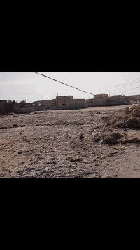 حله ورديه • طابو زراعي • ٢٩٠م