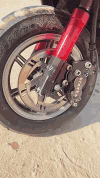 ماكس • عدلة • كفالة عامة