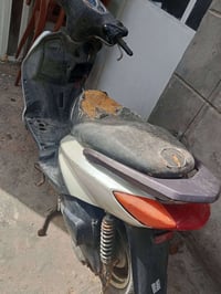 سكنس نثية • شغالة • المسيب