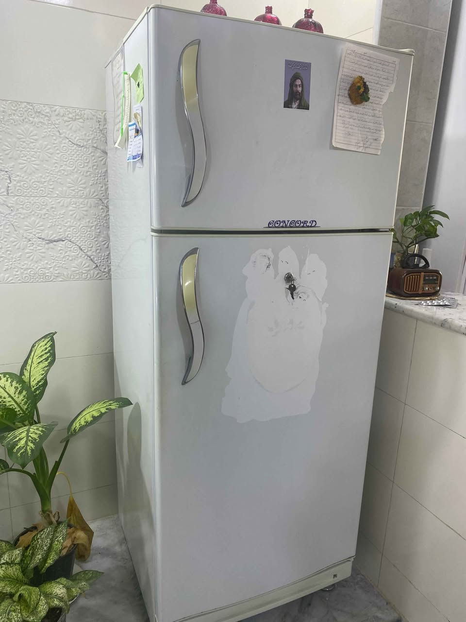 نظيفه Singapore


**إذا كنت صاحب هذا الإعلان وتريد حذفه لأي سبب، رجاءا أرسل رسالة إلى الدعم الفني**