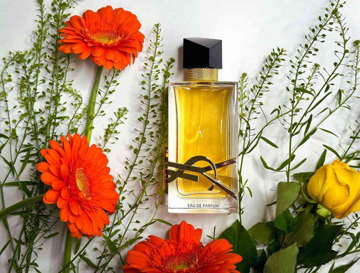 عطر ليبر✨
يُعد هذا العطر خيارًا ممتازًا للمرأة التي تحتضن حريتها الجامحة وتتبع غرائزها.😍
 "ليبر مع لمسة جريئة" ويقدم أداءً قويًا ومتميزًا.💫
يتم الإشادة به لكونه عطرًا فاخرًا بمكونات طبيعية ثمينة يتم الحصول عليها من مصادر مستدامة حول العالم. 💙
صنع في كندا الولايات المتحده 💯
متوفر توصيل .


**إذا كنت صاحب هذا الإعلان وتريد حذفه لأي سبب، رجاءا أرسل رسالة إلى الدعم الفني**