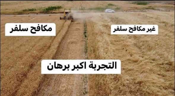 من الصباح الباكر بدأنا بتجهيز مبيد سيلفر قبل الإنبات للمزارعين الكرام
ثقتكم مصدر قوتنا… والتجهيز مستمر على مدار اليوم 🌾✨

📍 مكتب المنزلة الزراعي – مفرق المنزلة
📞 ***********
📱 واتساب: ***********
