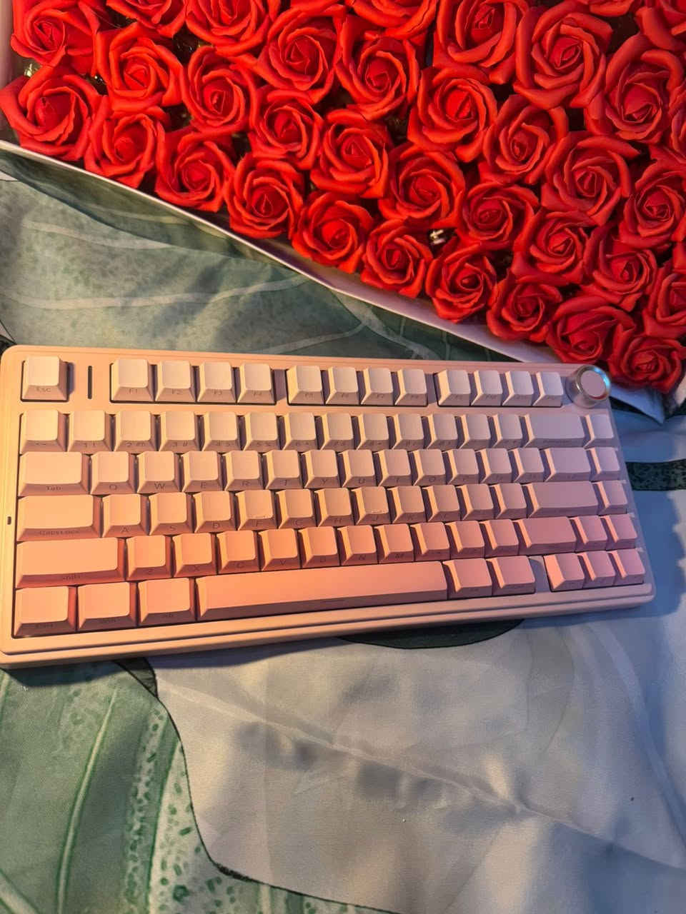 السلام عليكم
جوستك  PC/ P4
تتميز بإضاءة RGB ملونة حول عصي التحكم.
تحتوي على زرين خلفيين قابلين للبرمجة (Two Macro Programmable Back Keys) لتعزيز الأداء في الألعاب.

كيبورد 
قيم باليرضي الله واخذهن


**إذا كنت صاحب هذا الإعلان وتريد حذفه لأي سبب، رجاءا أرسل رسالة إلى الدعم الفني**