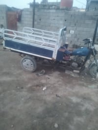 ستوته • شغاله • شاصي مكفول