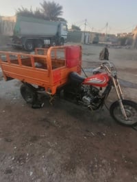 ستوته • مكفولة • الزبير