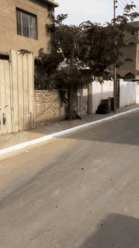 دار للبيع مساحه 250 طابو صرف. الموقع كربلاء اطويريج. اتصال الستفسار ***********
