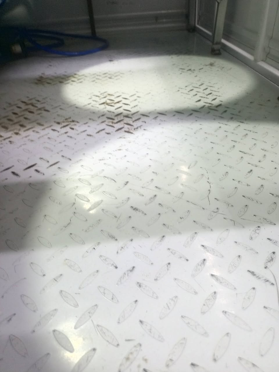 ***********
توته موديل 23 
العنوان مدينه الصدر قطاع 29
