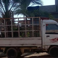 فاو • ٢٠٠٧ • سامراء ناحية المعتصم