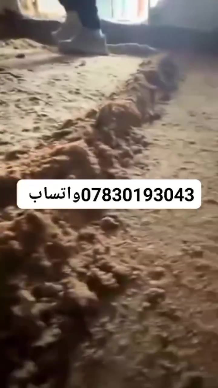 🚧 شغل دك التربة باحتراف 🚧
متوفر لدينا جهاز دكاك (قفاز  ) لدك التربة وتسويتها بشكل مضبوط وقوي 💪
✔️ مناسب للأراضي قبل الصب
✔️ تثبيت التربة ومنع الهبوط
✔️ شغل نظيف وسريع
✔️ خبرة بالعمل على التراب، السبيس، والطابوق
إذا عندك أرض غير مستوية أو تراب زايد، نخدمك ونضبطها لك بأفضل شكل 👌
📞 للحجز والاستفسار: *********** (واتساب)
📍 ذي قار
سعر. 100متر ب 60الف 
سعر  200ب 100الف 
مُتابع 
@إشارة
