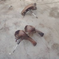 ادوات دولفين • توصيل لجميع المحافظات