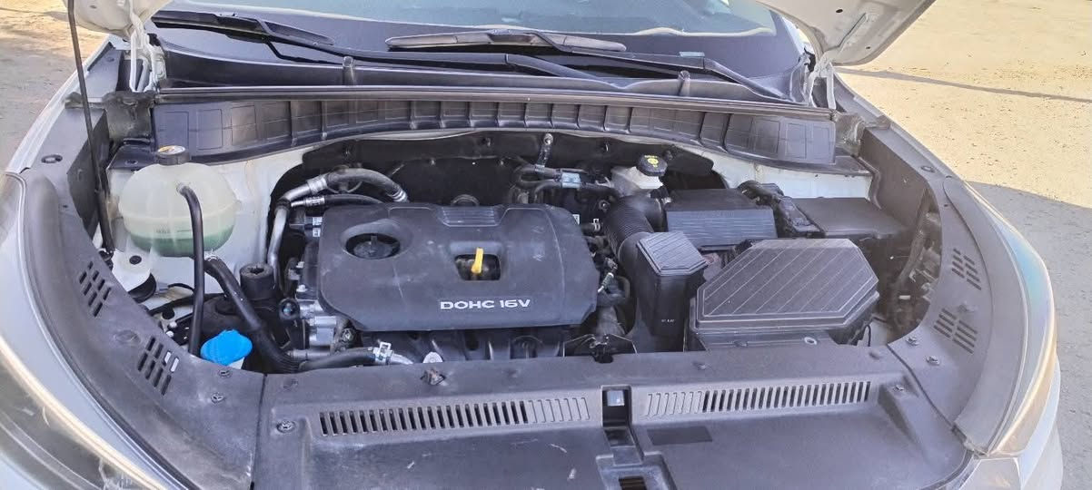 توسان خليجي //موديل 19 // رقم اربيل القديم  // تبديل باب خلفي  فقط  //العداد 106000 كم  //فول  مواصفات عدا  الفتحه 1/1  //  //بصمة ابواب //بصمة تشغيل // مري شفط //حساسات امامي و خلفي//  كامره خلفيه  // شاشة اعطال// شاشة عرض كبيره  اندرويد((- انترنيت- عرض فديو - ))  خمسه ويك كب // تبريد قطعتين //  فول تحكم ستيرن السعر 185
واسط الزبيدية
***********
***********
