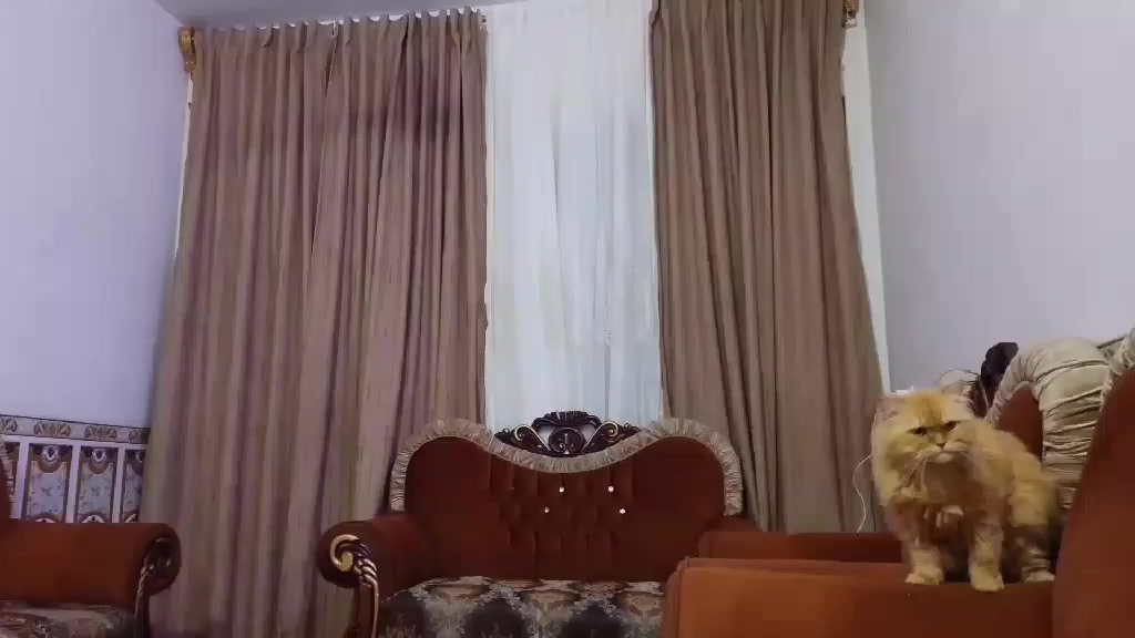 تخم استعمال سبوع ب550 مكان حسينيه


**إذا كنت صاحب هذا الإعلان وتريد حذفه لأي سبب، رجاءا أرسل رسالة إلى الدعم الفني**