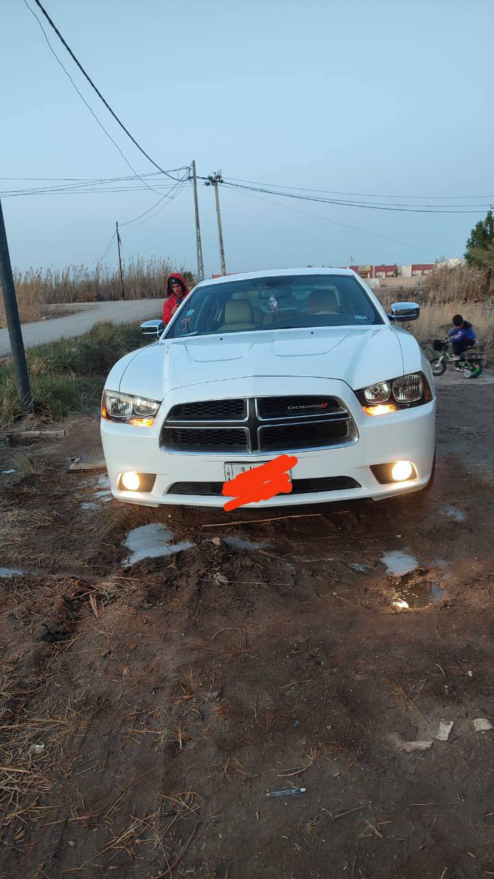 سلام عليكم 14اللبيع فول وارد امريكي الاستفسار اتصل ع الرقم *********** السعر 175وبيها مجال قليل
