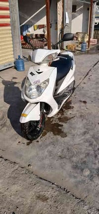 للبيع سكنس فحل ختم واحد دراجه جديده مال رمبه مكفوله مكينه ناعمه كفرات ...