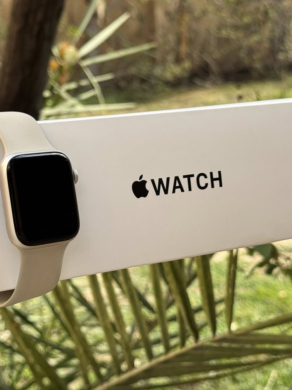 ابل واتش se 2
الحجم 44

بطارية 91

ذاكرة 32 كامل ملحقاتها الاصلية موجودة 
الساعة كثير نضيفة وشرط الفحص ولضمان

السعر خاص او  ***********

مكاني موصل ويوجد توصيل لكل المحافضات
