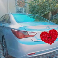 سوناتا أمريكي • ٢٠١٤ • ورقه بابل