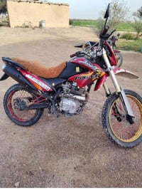 قفاز • موديل ٢٢ • مراوس