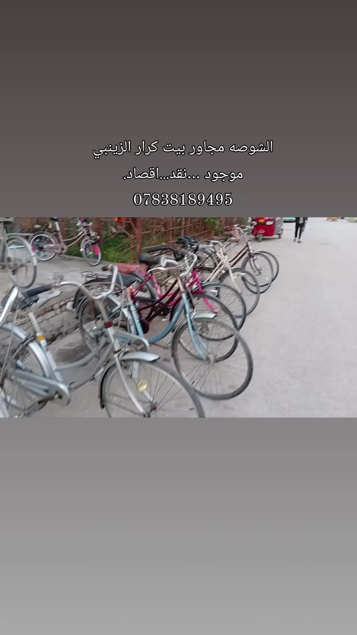 تفاصيل داخل لفيديو..🤍🤍
لسعار من 70الى 85


**إذا كنت صاحب هذا الإعلان وتريد حذفه لأي سبب، رجاءا أرسل رسالة إلى الدعم الفني**